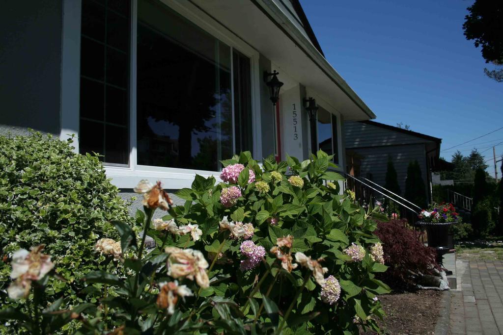 Hotel Semi Centre House White Rock Exterior foto